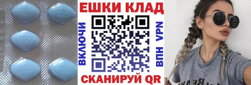 где купить   ссылка на мегу как зайти  Ecstasy Philipp Plein  Подпорожье 