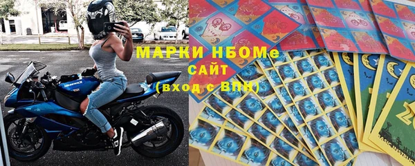 трава Новозыбков