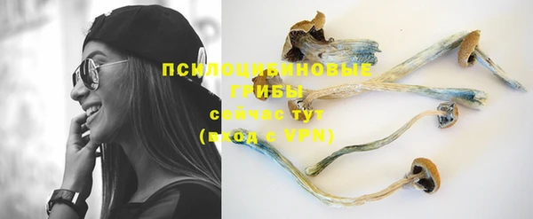 трава Новозыбков