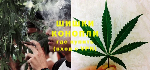 трава Новозыбков