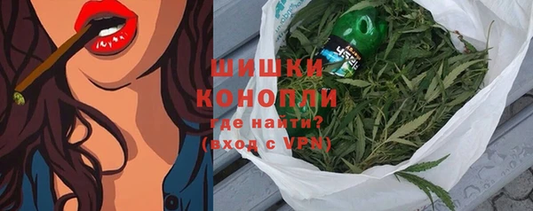 трава Новозыбков